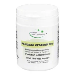PANGAM Vitamín B15 Vegi Kapsuly, 180 ks