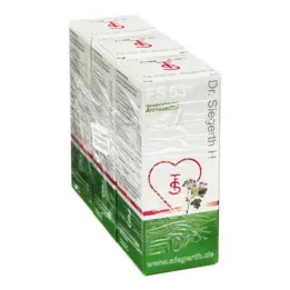 FS 53 Dr.Siegerth H kvapalina, 3X100 ml