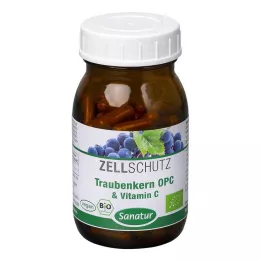 OPC TRAUBENKERN & Kapsuly vitamínu C, 90 ks