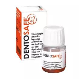 DENTOSAFE Krabička na záchranu zubov, 1 ks