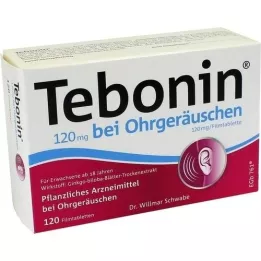 TEBONIN 120 mg na zvonenie v ušiach filmom obalené tablety, 120 ks