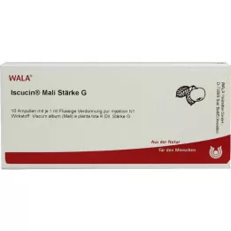ISCUCIN mali silu G ampulky, 10X1 ml