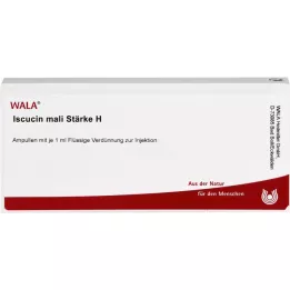 ISCUCIN mali silu H ampulky, 10X1 ml