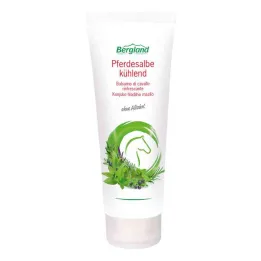 Chladivá konská masť (100 ml)