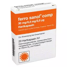 FERRO SANOL komp. Tvrdé kapsuly s poťahovanými peletami, 20 ks