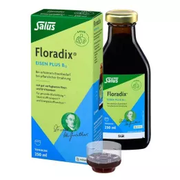 FLORADIX Iron plus B12 vegánske tonikum, 250 ml