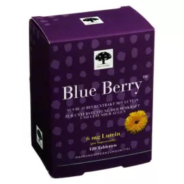 BLUE BERRY Tablety, 120 ks
