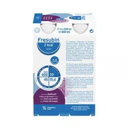 FRESUBIN PROTEIN Energia DRINK Lesná zem pitná fl. 6 x 4 x 200 ml