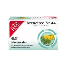 H&S Púpavové filtračné vrecká, 20X2,0 g
