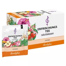 ERFRISCHUNGSTEE Filtračné vrecká, 20X3 g