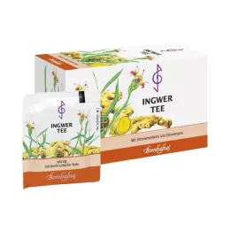 INGWER TEE Filtračné vrecká, 20X2 g