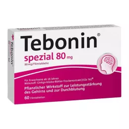 TEBONIN špeciálne 80 mg filmom obalené tablety, 60 ks
