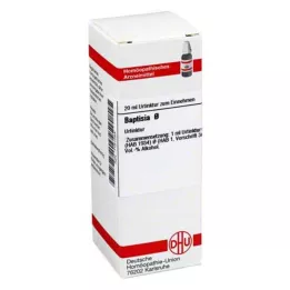 BAPTISIA Undround Tincture, 20 ml