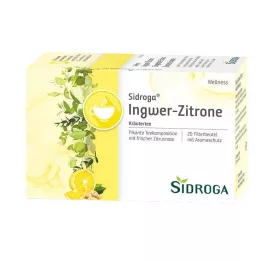 SIDROGA Wellness Zázvorovo-citrónové filtračné vrecká na čaj, 20X2,0 g