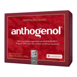 OPC ORIGINAL Masqueliers Anthogenol kapsuly, 90 ks