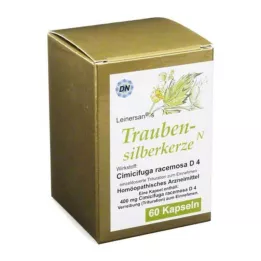 TRAUBENSILBERKERZE Kapsuly, 60 ks