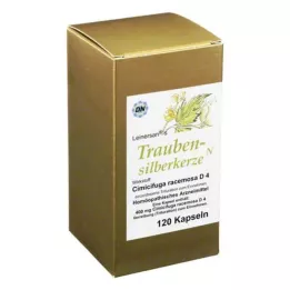 TRAUBENSILBERKERZE Kapsuly, 120 ks