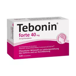 TEBONIN forte 40 mg filmom obalené tablety, 120 ks