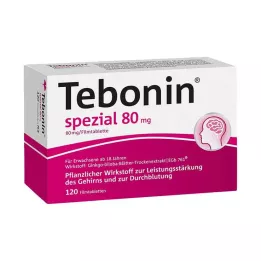 TEBONIN špeciálne 80 mg filmom obalené tablety, 120 ks