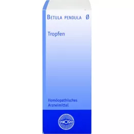 BETULA PENDULA Materská tinktúra Hanosan, 20 ml