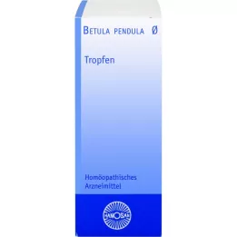 BETULA PENDULA Materská tinktúra Hanosan, 50 ml