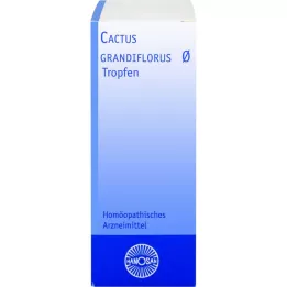 CACTUS GRANDIFLORUS Materská tinktúra Hanosan, 20 ml