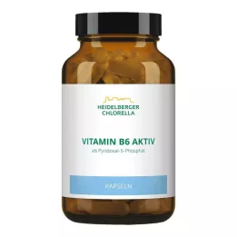 VITAMIN KAPSULY B6, 120 ks
