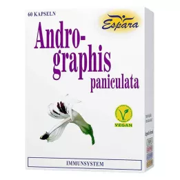 ANDROGRAPHIS kapsuly paniculata, 60 ks