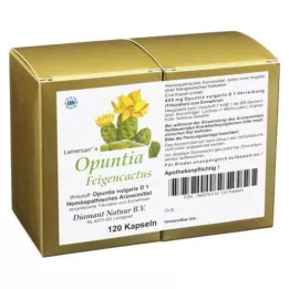 OPUNTIA FEIGENCACTUS Kapsuly, 120 ks