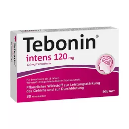 TEBONIN intens 120 mg filmom obalené tablety, 30 ks