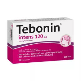 TEBONIN intens 120 mg filmom obalené tablety, 60 ks