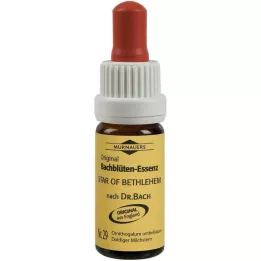 BACHBLÜTEN Murnauer Star of Betlehem drops, 20 ml