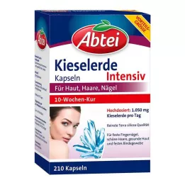 ABTEI Kremenné kapsuly, 210 ks