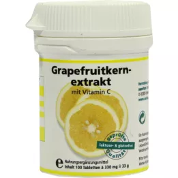 GRAPEFRUIT KERN Tablety extraktu, 100 ks