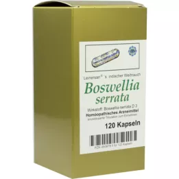 BOSWELLIA SERRATA Kapsule L.ind.kadidla, 120 ks