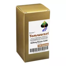 YAMSWURZEL KAPSULKY, 120 ks