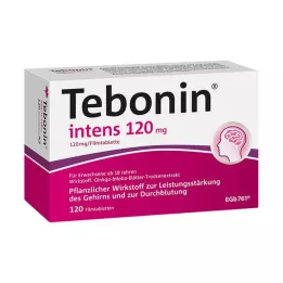 TEBONIN intens 120 mg filmom obalené tablety, 120 ks