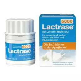 LACTRASE 6 000 FCC kapsúl, 60 ks