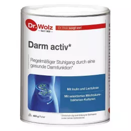 DARM ACTIV Prášok Dr.Wolz, 400 g