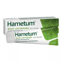 HAMETUM Masť na hojenie rán, 25 g