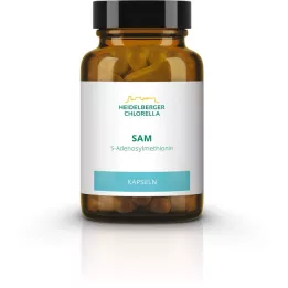 SAM S-ADENOSYLMETHIONIN kapsuly, 60 ks