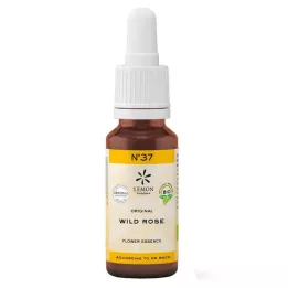 BACHBLÜTEN č.37 Divoká ruža organická, 20 ml