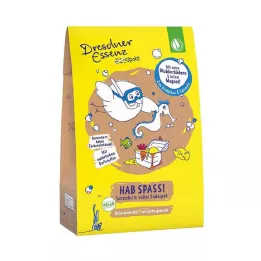 DE Dirt Sparrow Treasure Chest Have Fun, 1 ks