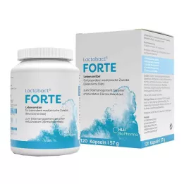 LACTOBACT Forte gastrorezistentné kapsuly, 120 ks