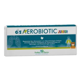 Gse Aerobiotic Junior jednorazová ampulka na vern.inhalačný roztok, 10x5 ml