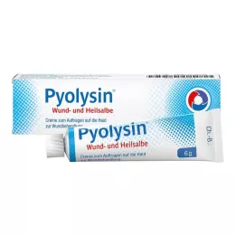 PYOLYSIN Masť na hojenie rán, 6 g