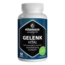 GELENK VITAL kapsuly, 90 ks