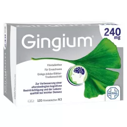 GINGIUM 240 mg filmom obalené tablety, 120 ks