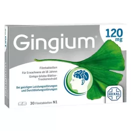 GINGIUM 120 mg filmom obalené tablety, 30 ks
