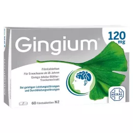 GINGIUM 120 mg filmom obalené tablety, 60 ks